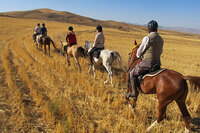 Iran Horse Riding Tour in Turkmen Sahra